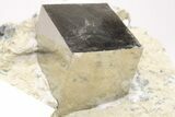 Two Shiny, Natural Pyrite Cubes in Rock - Navajun, Spain #206827-3